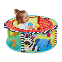 ELC Development Wall Sensory Ballpit & Balls