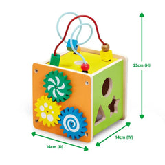 Early Learning Centre Classic Wood Activity Cube