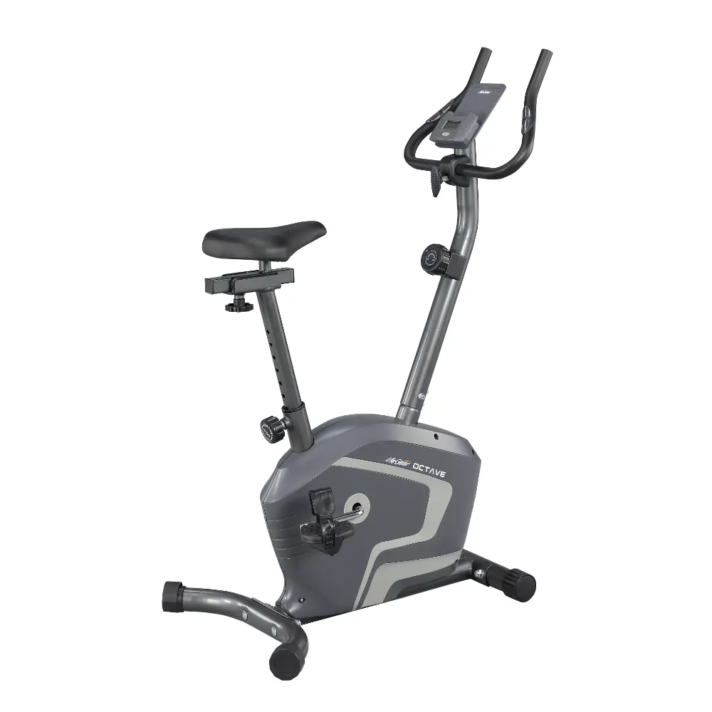Lifegear Magnetic Bike Octave 4Kg