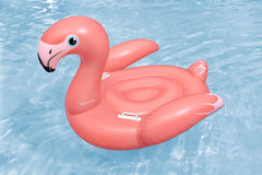 Bestway  Rider Flamenco 168X120cm