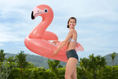 Bestway  Rider Flamenco 168X120cm