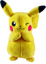 Pokemon Plush 6 Character Assortment - Sold per piece