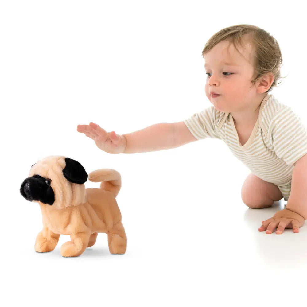 Pugs At Play Walking Pug 6.5 B/O